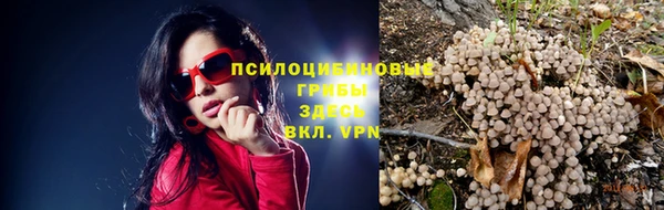 каннабис Алексеевка