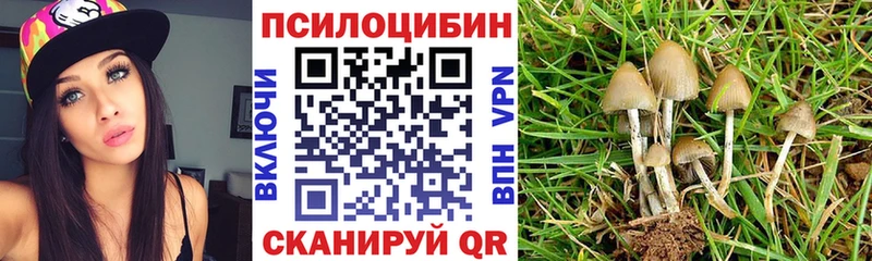 купить наркотики сайты  Льгов  ссылка на мегу ONION  Псилоцибиновые грибы мицелий 